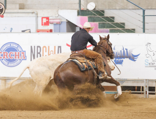 2025 ERCHA/NRCHA BET HESA BOON PRE FUTURITY AND HORSE SHOW #4