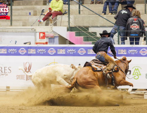 2026 ERCHA/NRCHA CLAYLAND RANCH SPRING STAKES AND HORSE SHOW #1
