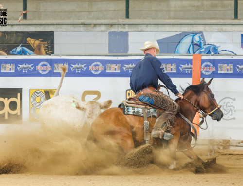 2026 ERCHA/NRCHA WIN EQUITY HACKAMORE CLASSIC AND HORSE SHOW #3