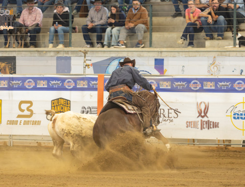 2026 ERCHA/NRCHA METALLIC CAT SNAFFLE BIT FUTURITY AND HORSE SHOW #5